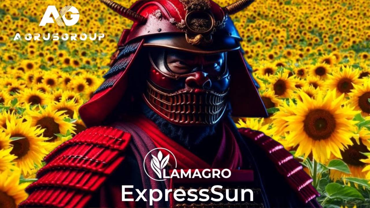 Технология выращивания подсолнечника ExpressSun® (Экспресс, SUMO)